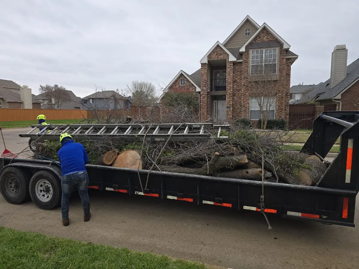 Expert Tree Fertilization with proper safety equipment in Lansing